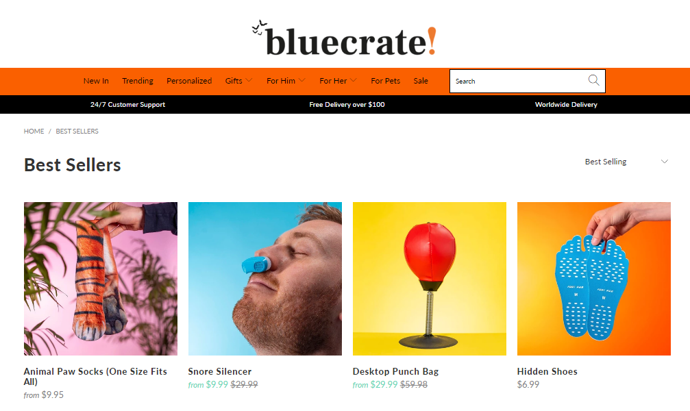 Bluecrate is a top-selling Shopify dropshipping store