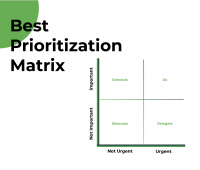 Matrix for prioritization