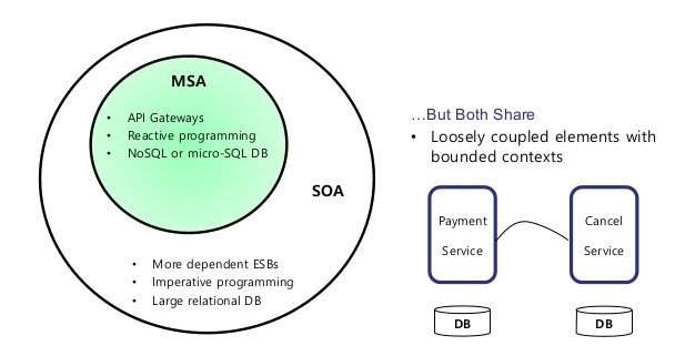 Microservices vs SOA