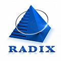 Radixweb