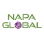 NAPA - IT Services and Consulting