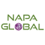 NAPA - IT Services and Consulting