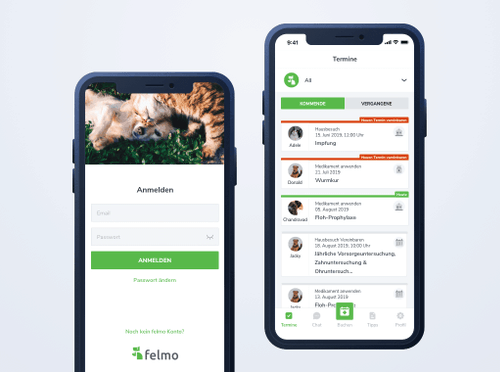 How We Created A Quality Branded Design Of A Mobile App For Felmo And Saved Time image 1