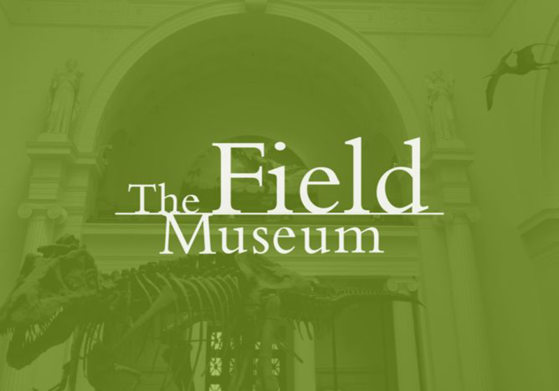 Delivering better UX for the Field Museum image 1