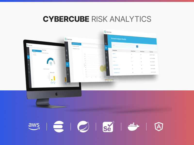 Cybercube Risk Analytics image 1