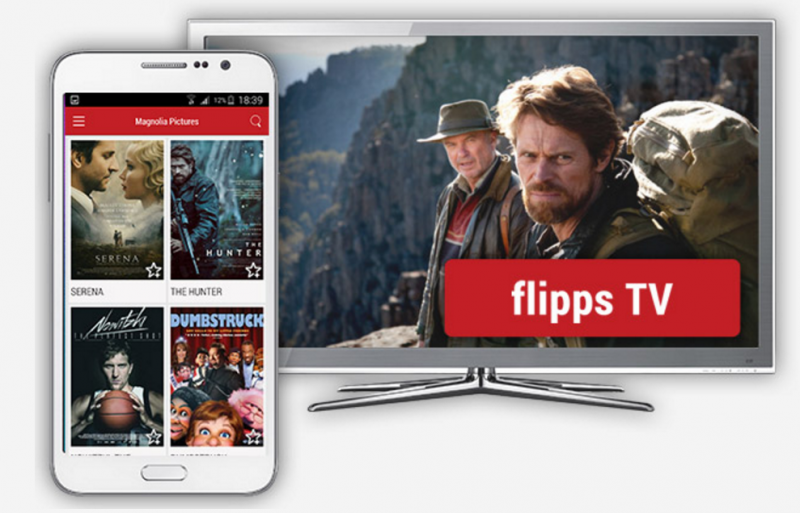 Video Streaming Technology - Flipps image 1