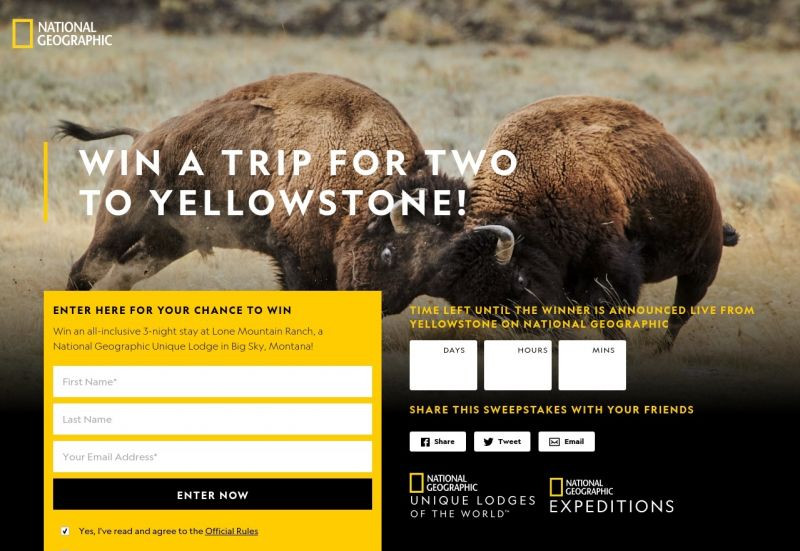 National Geographic – Yellowstone Live Competition image 1