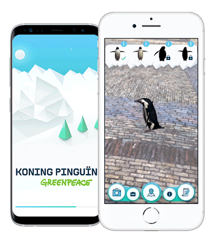 King Penguin - Greenpeace AR image 1