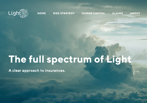 Light Insurance image 1