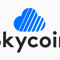 IT Staffing For SkyCoin
