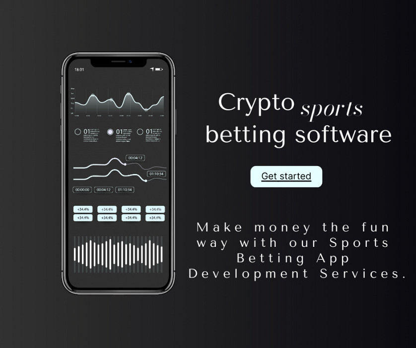 How to Choose the Best Fantasy Sports Software Developers? image 1