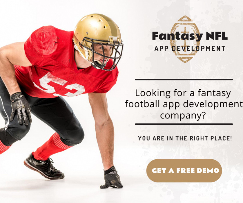 How to Choose the Best Fantasy Sports Software Developers? image 4