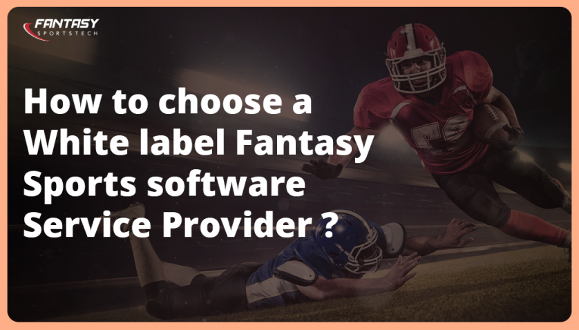 How to Choose the Best Fantasy Sports Software Developers? image 6