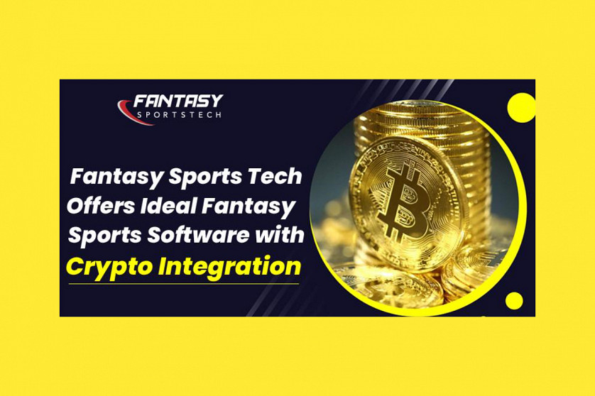 How to Choose the Best Fantasy Sports Software Developers? image 5