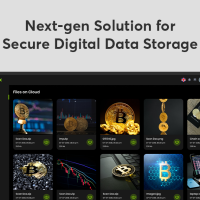 Next-gen Solutions for Secure Digital Storage