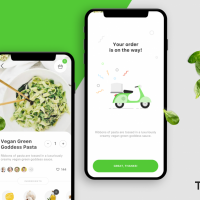Food delivery app concept